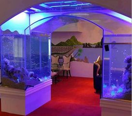 藍璟水族設備發展核心要義 全方位服務是根本