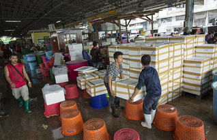 泰國海產(chǎn)加工廠雇黑工 每天工作16個小時