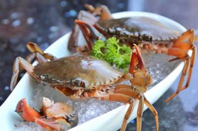 198元龍蝦海鮮拼盤免費送！品味鮮香，暢享海鮮火鍋盛宴